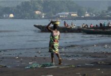 Pêche crevettière : 6 002 tonnes et 30 milliards de FCFA en jeu, selon la FAO