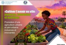 Afrique centrale: Appel à candidatures pour jeunes innovateurs en agriculture urbaine