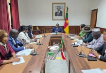 PRO MEET UP 2026 : le secteur des transports au cœur de l’intégration économique en Afrique centrale