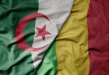 Stabilité du Sahel : Le Mali face aux périls des agendas d’ingérence indirecte