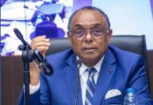 Vacance du pouvoir : Grégoire Owona défend l’absence de Paul Biya