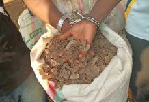 Faune : Saisie record de 700 kg d’écailles de pangolin à Yokadouma