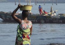 Filière crevettière : le Cameroun prépare l’après-FISH4ACP